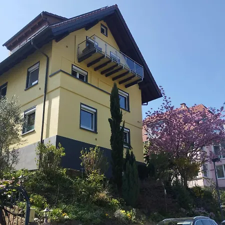 Nichtraucherferienwohnung-neckarblick Ze-2022-74-wz-118a דירה היידלברג