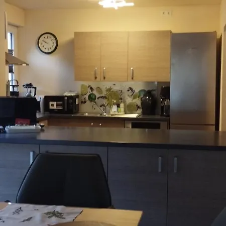 Nichtraucherferienwohnung-neckarblick Ze-2022-74-wz-118a Heidelberg