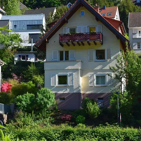 Apartment Nichtraucherferienwohnung-neckarblick Ze-2022-74-wz-118a