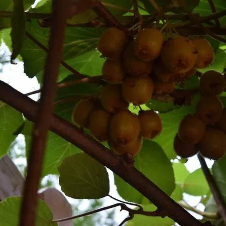 Nichtraucherferienwohnung-neckarblick Ze-2022-74-wz-118a דירה