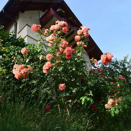 Nichtraucherferienwohnung-neckarblick Ze-2022-74-wz-118a Apartment Heidelberg