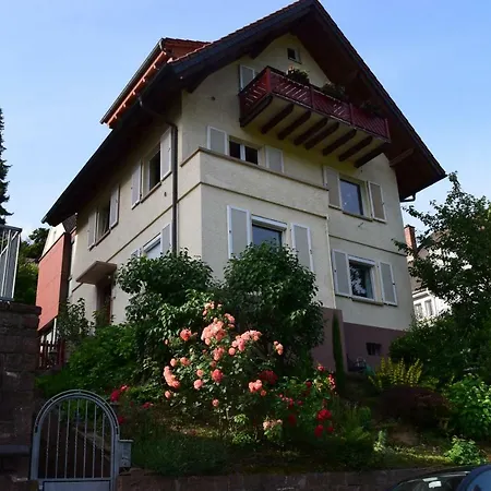 Nichtraucherferienwohnung-neckarblick Ze-2022-74-wz-118a * Heidelberg