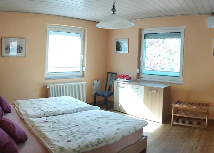 Nichtraucherferienwohnung-neckarblick Ze-2022-74-wz-118a