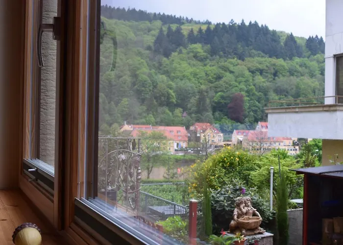 Nichtraucherferienwohnung-neckarblick Ze-2022-74-wz-118a Appartement