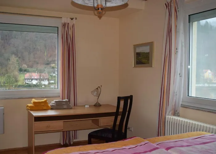 Appartement Nichtraucherferienwohnung-neckarblick Ze-2022-74-wz-118a Heidelberg